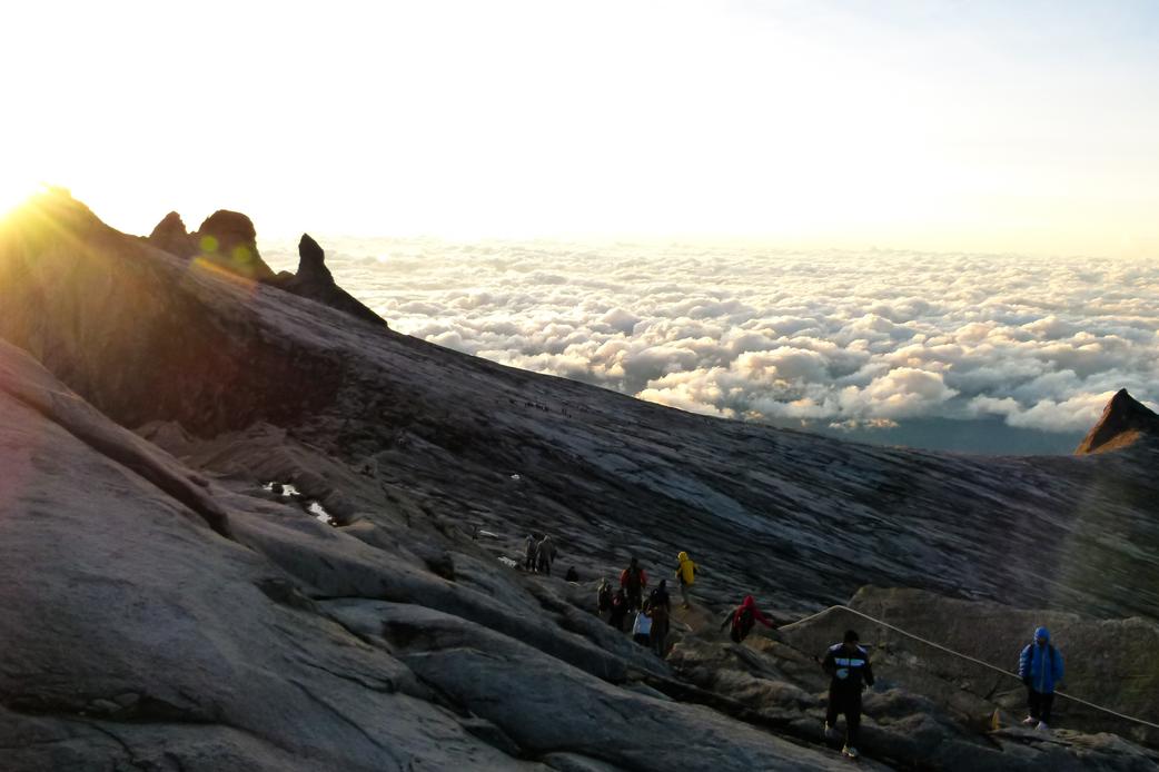 Hic delectus non eligendi