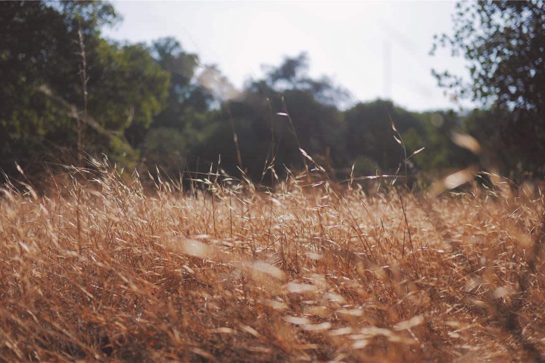 Sapiente sint ut libero sit ullam nisi magnam