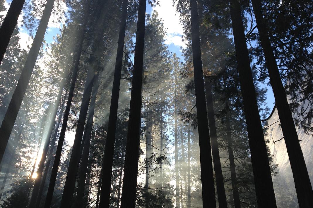 Beatae magni labore et dolore sunt assumenda