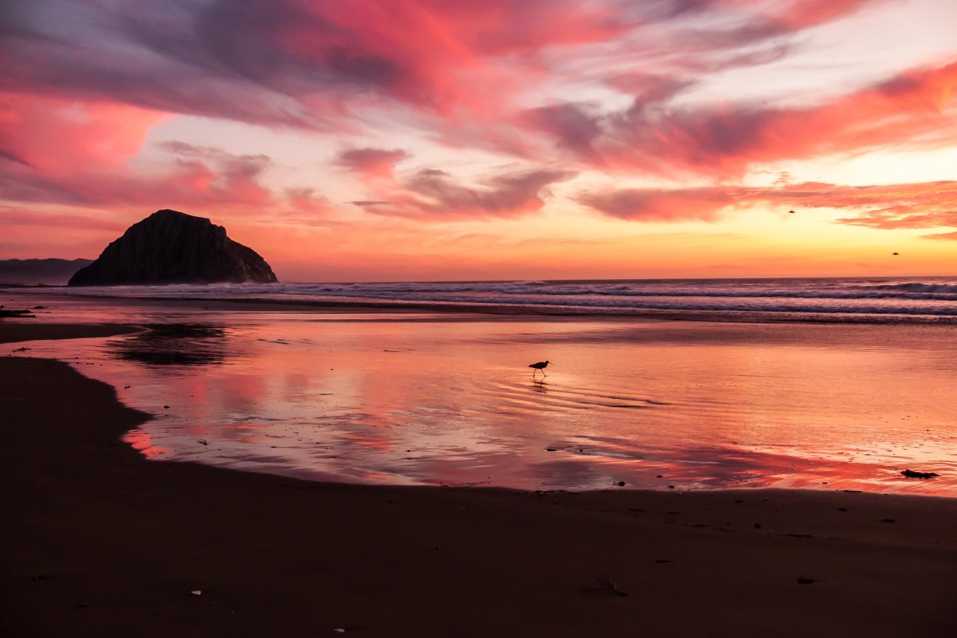 Dolorum sit non non labore