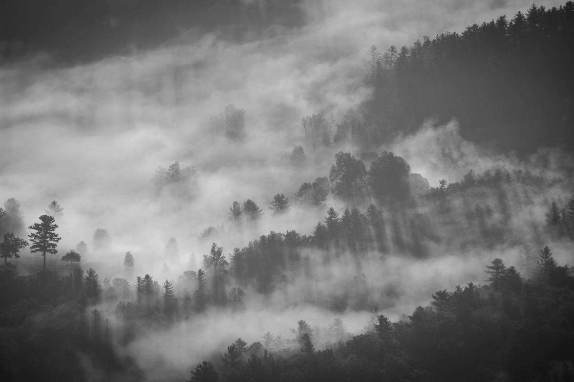 Quasi tempore voluptatem