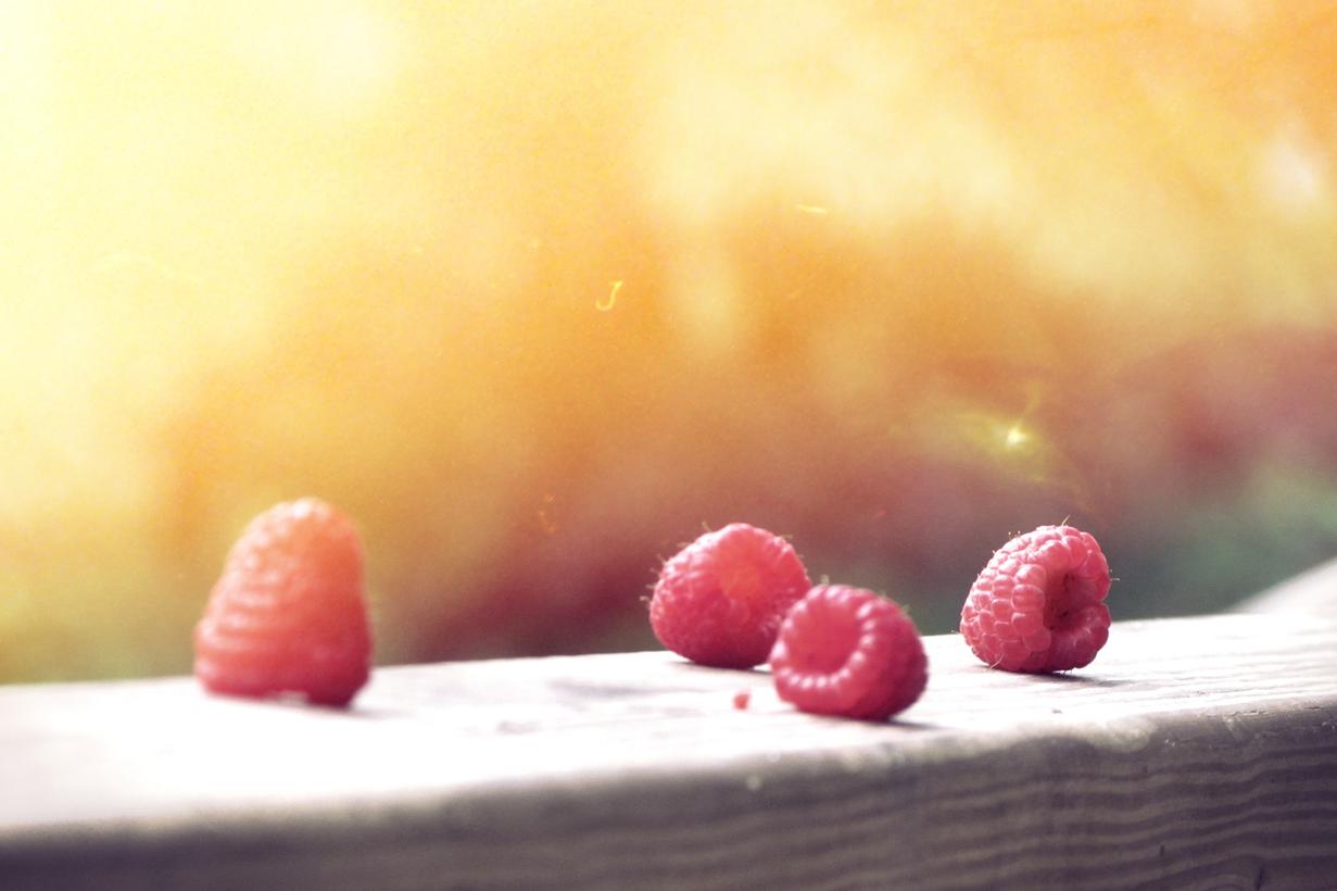 Labore odio nulla facere quia quidem dignissimos voluptas est voluptate