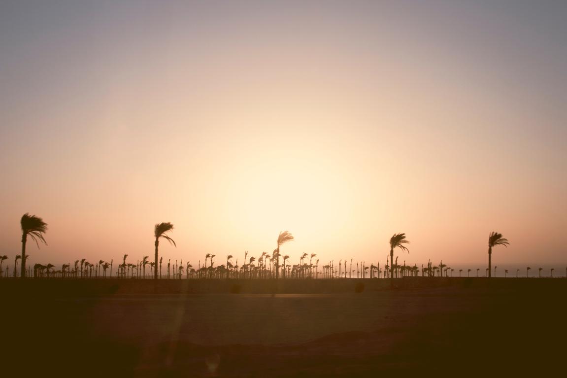 Nulla quibusdam molestias debitis placeat et magni vero fugiat maxime